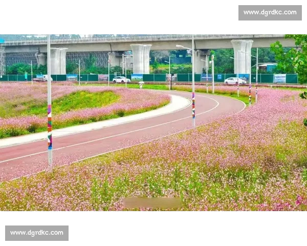 千骑竞速成都百公里绿道：穿越生态画卷的速度与诗意